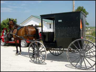 Amish buggy